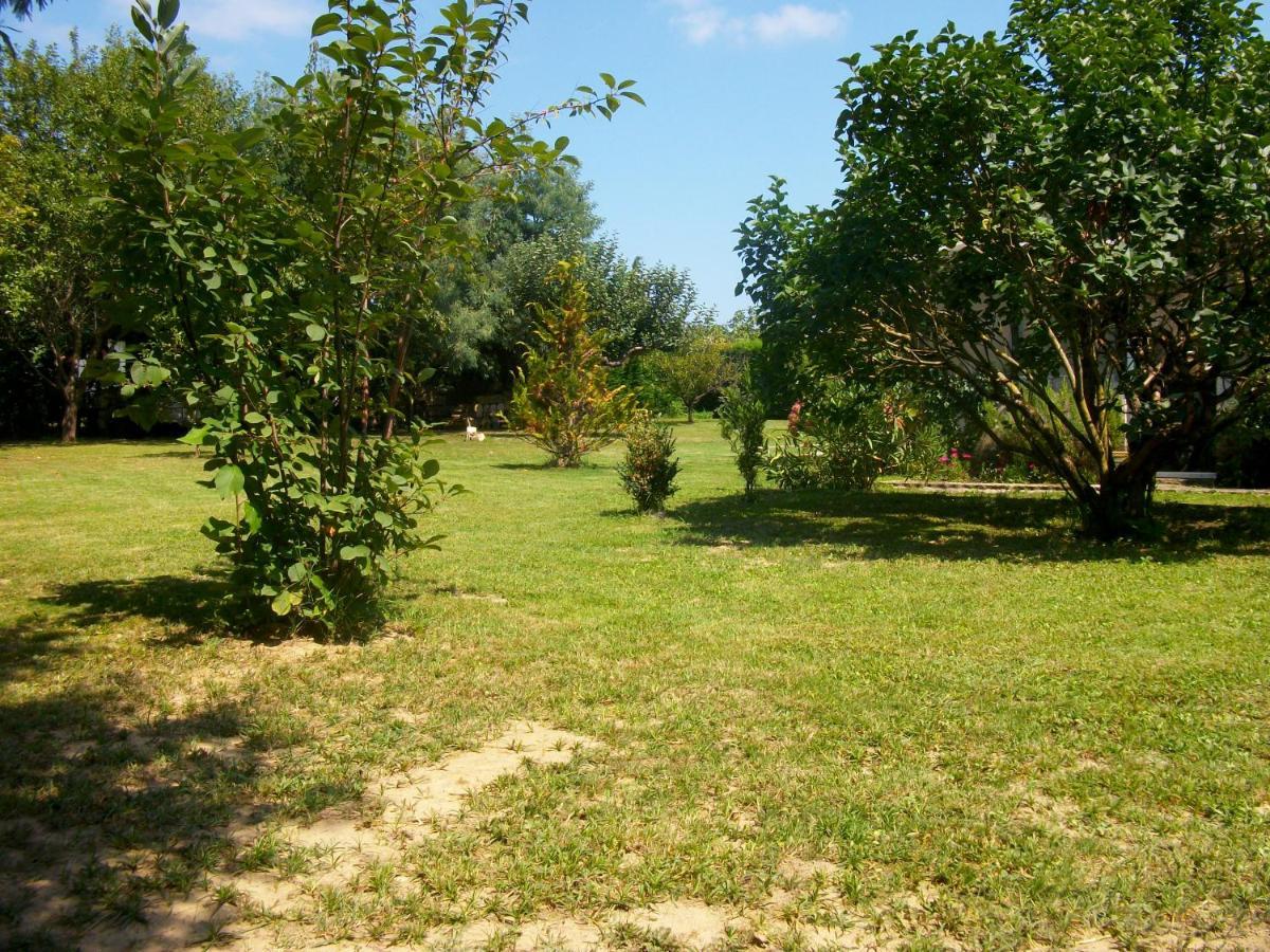 Domaine De Monein Bed and Breakfast Saint-André-de-Cubzac Εξωτερικό φωτογραφία