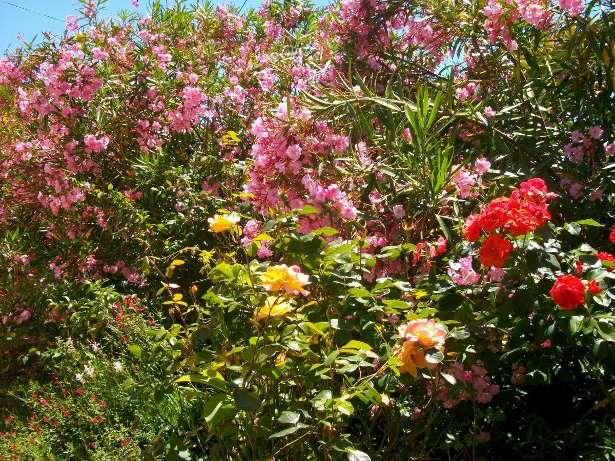 Domaine De Monein Bed and Breakfast Saint-André-de-Cubzac Εξωτερικό φωτογραφία
