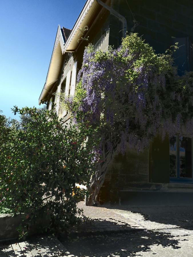 Domaine De Monein Bed and Breakfast Saint-André-de-Cubzac Εξωτερικό φωτογραφία